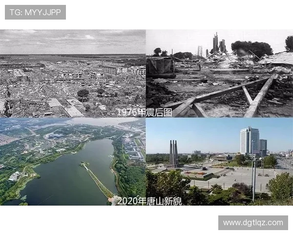 南京乒乓球队的崛起之路与奋斗精神的深度剖析与回顾