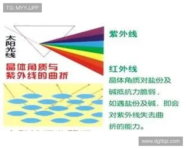排球新手必看：快速掌握基本技巧与战术的全面指南